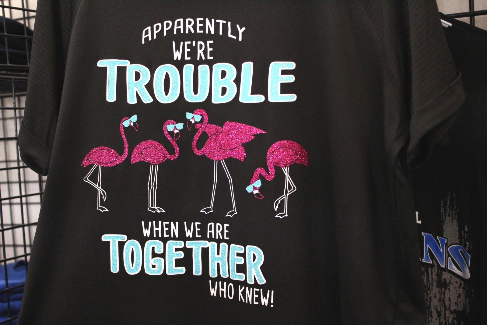 Apparently We're Trouble — Retail design